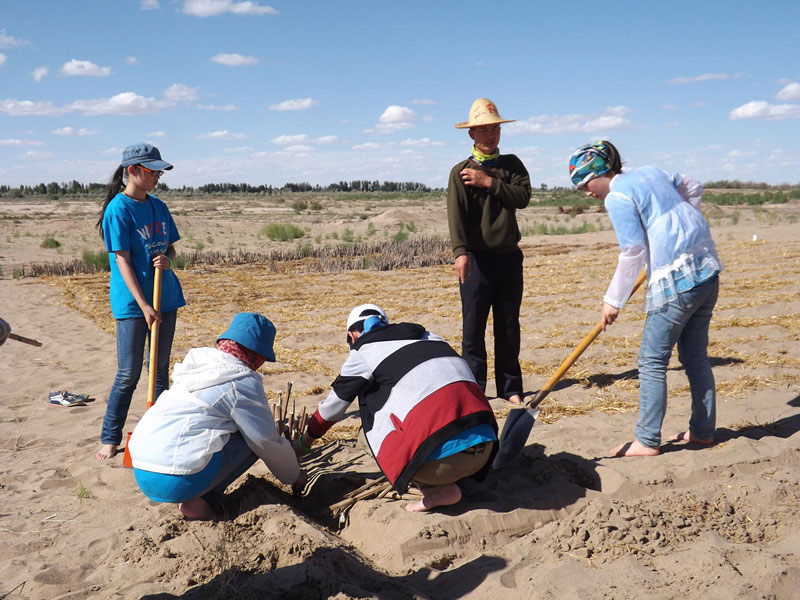 �@�N1.5��Ҋ�������ݸ��ӣ���ɳЧ����������^4��5���͕��L�g��������Ҫ�����a����