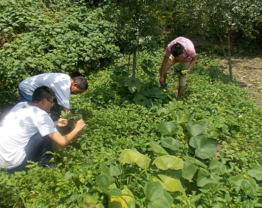 �ڶ��죬�(du��)�T���_(k��i)ʼ��(l��i)�����B(t��i)�r(n��ng)��(ch��ng)�w�(y��n)�r(n��ng)��������������ժ����