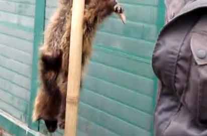 Ұ����(d��ng)�ﱻ���̵�����u