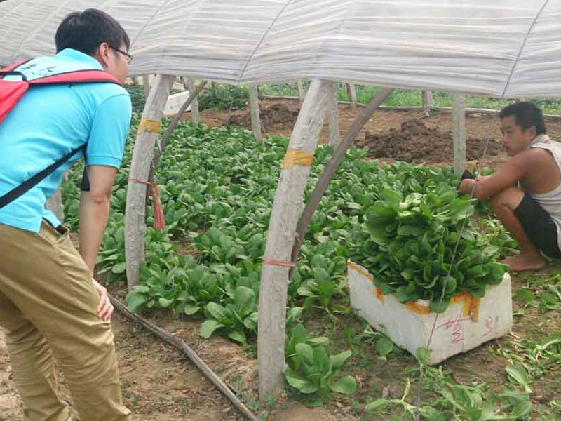 ��(sh��)�`�(du��)�T�c��(d��ng)?sh��)��r(n��ng)��e�O��ͨ������(d��ng)�����(w��n)�}���˽��߲˴�������P(gu��n)��r��