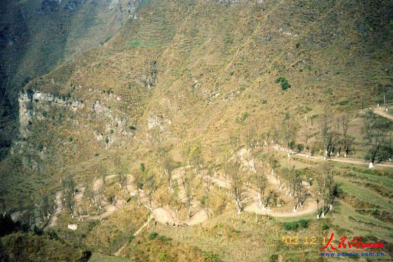 ��¡��24���ա�֮������ꐁ���?j��n)zӰ�� 