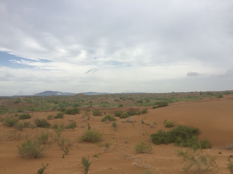 �v����ɳĮ�޾W(w��ng)������ݷ����ﲼ�M�[�d��ɳ��ֲ����