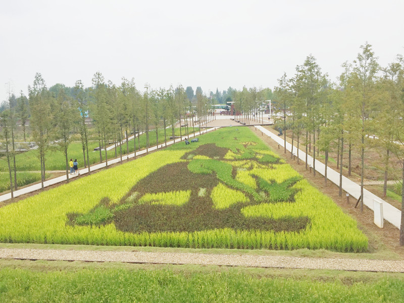 ������L�������������zӰ����־�ۣ�