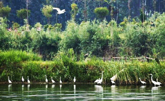 ͯԒ�ϼң���������Ԋ�����Ϙ���f����