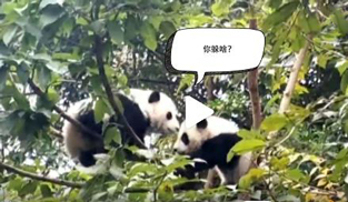 �L�L��̫�ɐ��ˣ�С��ȫ�̡���ĸЦ����