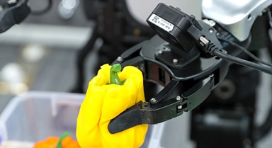 山東青島：人形機(jī)器人“實(shí)訓(xùn)”忙