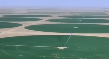 塔克拉瑪干沙漠現(xiàn)巨型麥圈